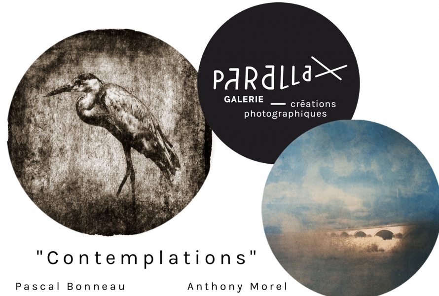 contemplation-parallax