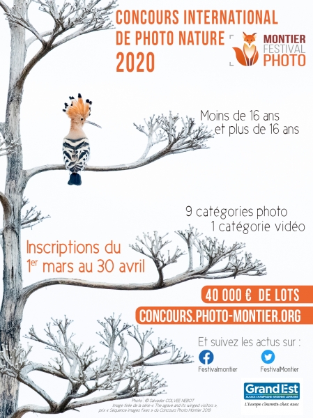 insertion-concours-2020bd