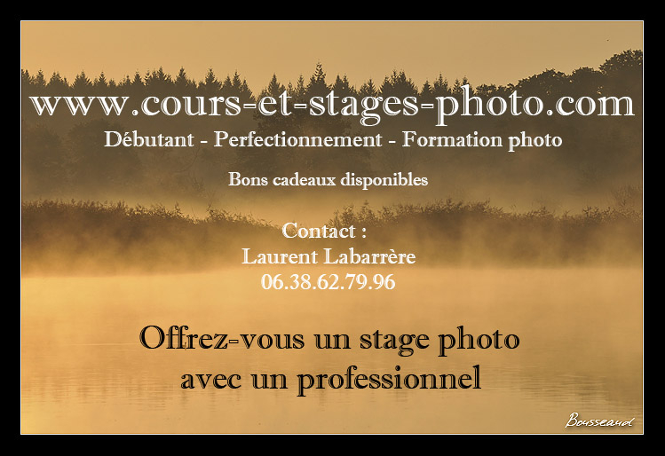 stage-photo-blois-41-30
