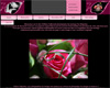 http://www.cocciphotos.com