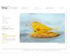 http://www.vozimage.com