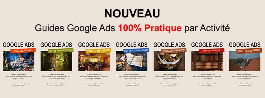 guide google ads pdf