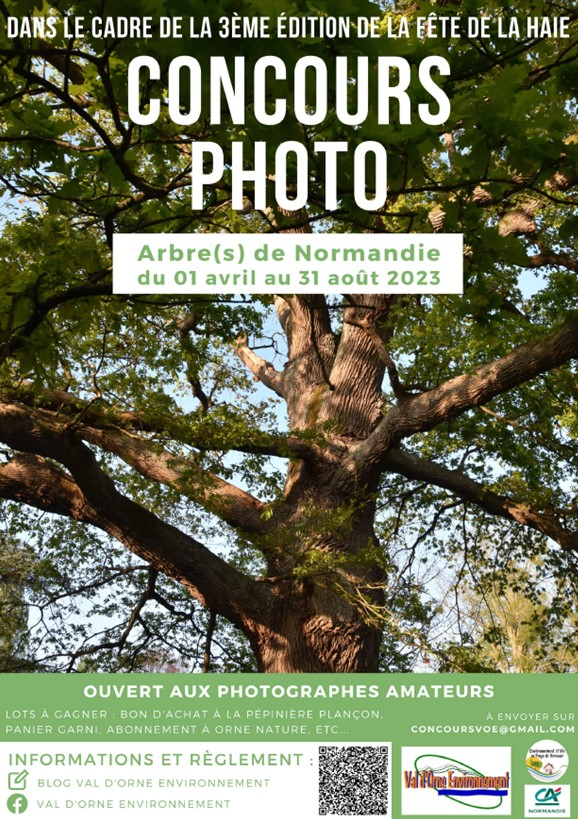 affiche-concours-photo-arbre-s-de-normandie-basse-definition