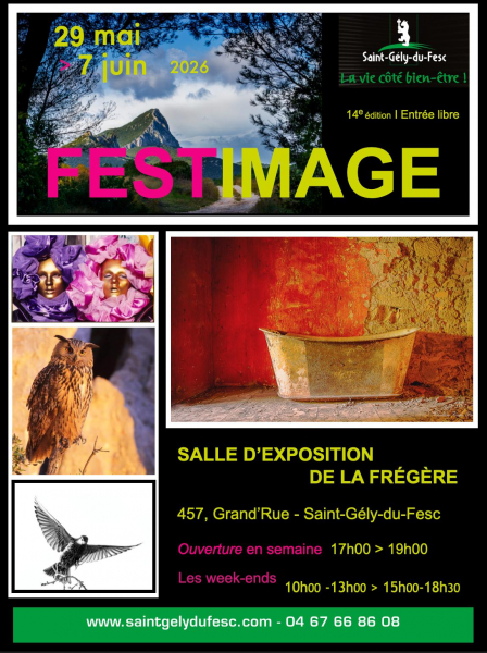 affiche-festimage-v3