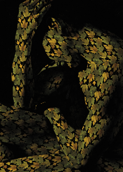 photo-le-nu-masculin-2026