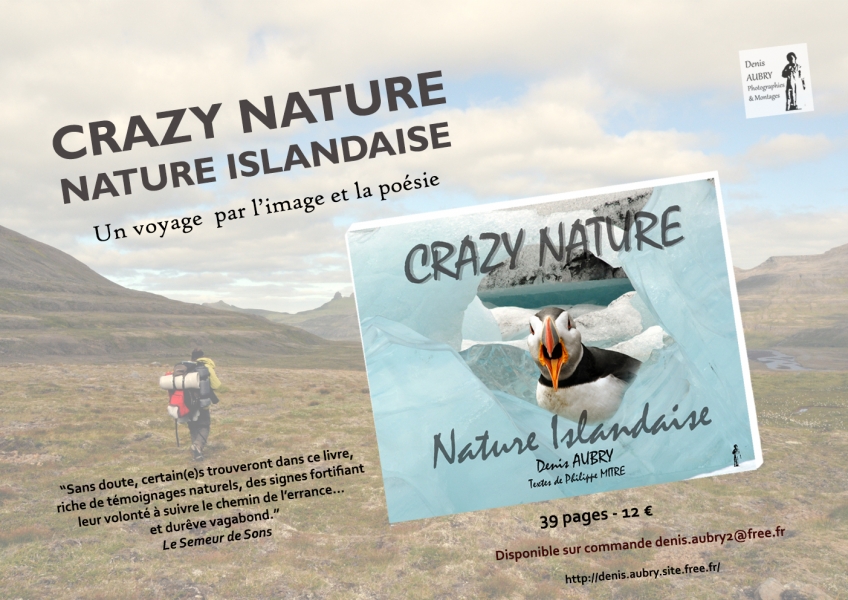 pub-crazy-nature