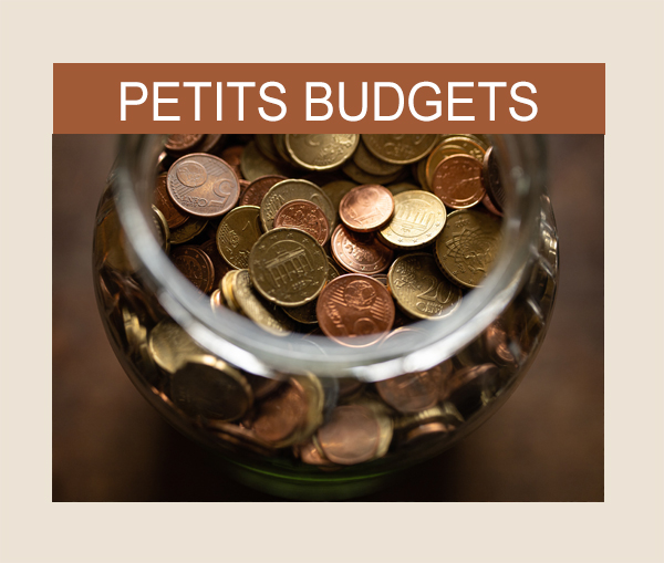Google Ads pour les petits budgets